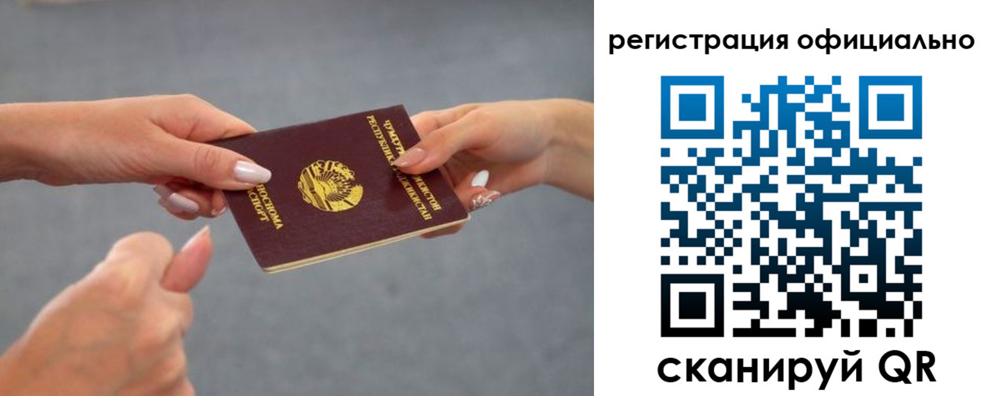 прописка поиск в Белгородской области